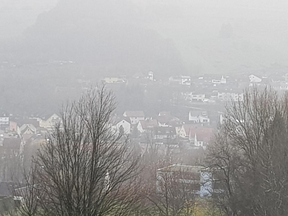 Ferienwohnung "Hagebutze" Mit Sauna Und Schwimmbad Bad Lauterberg Zewnętrze zdjęcie