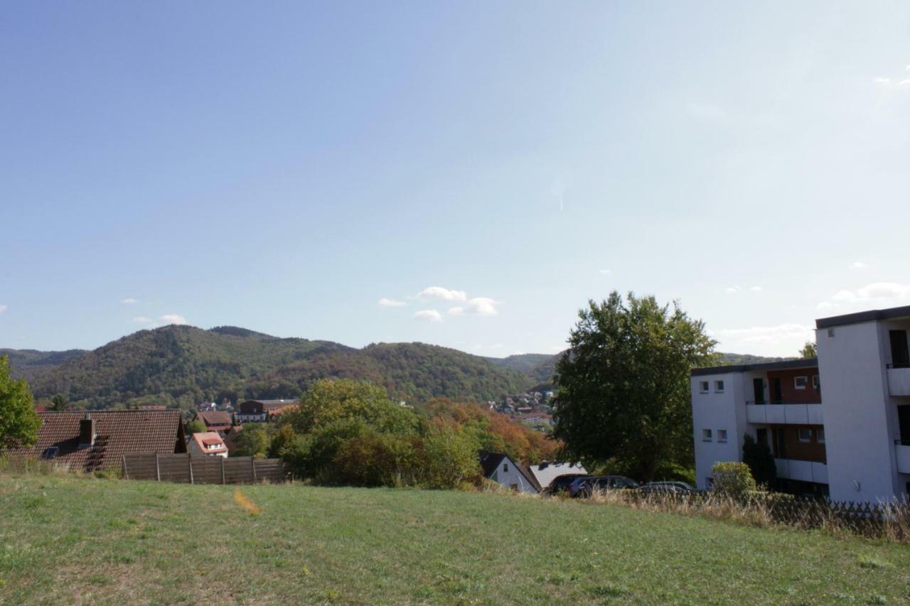 Ferienwohnung "Hagebutze" Mit Sauna Und Schwimmbad Bad Lauterberg Zewnętrze zdjęcie