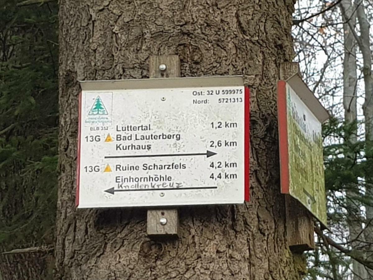 Ferienwohnung "Hagebutze" Mit Sauna Und Schwimmbad Bad Lauterberg Zewnętrze zdjęcie